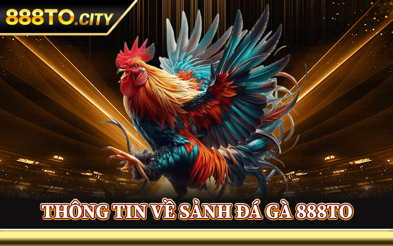 Thông Tin Về Sảnh Đá Gà 888TO